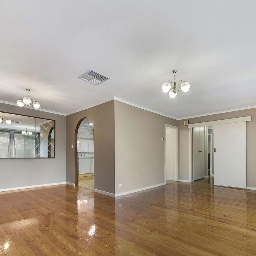 Spacious Family Home in Salisbury Park - Photo 1