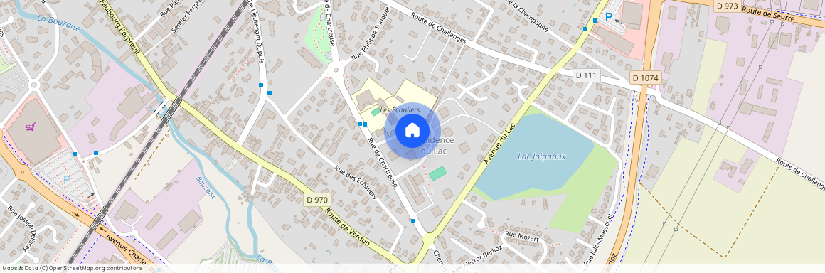 3 RUE MAURICE MAUCHAMP, BEAUNE