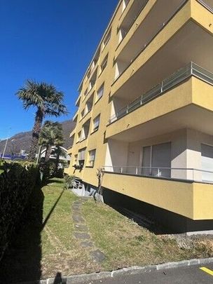 LOSONE, WE RENT A SPACIOUS 3 1/2-ROOM APARTMENT - Photo 1