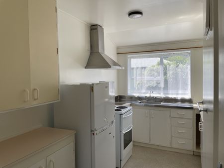 NAENAE LIVING - Spacious one bedroom Unit - Photo 3