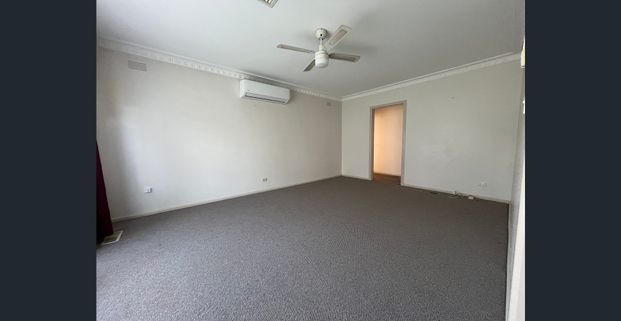 Packed with Perks! - Photo 1