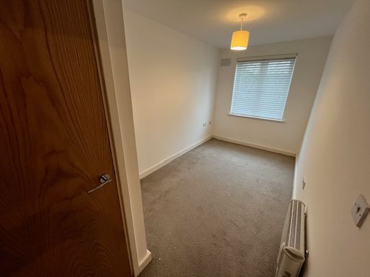 IVES HOUSE – ERCOLANI AVENUE - Photo 1