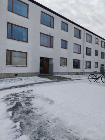 Ekbacken, Asarum - Foto 4