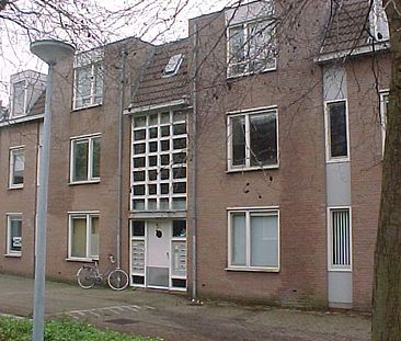 Proosdijweg 11, Room no. A01 - Photo 1
