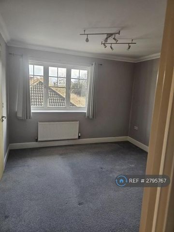 3 bedroom semi-detached house to rent - Photo 5