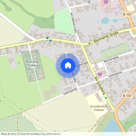 Feldstraße 7, 04687 Trebsen