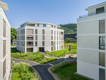 Neubau sucht Mieter in Frick - Foto 4