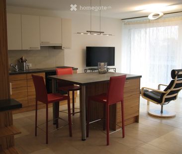 Furnished Flat - Studio meublé avec vue panoramique sur lac et Mont... - Photo 4