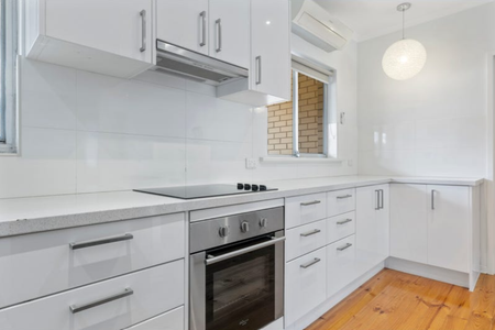 5/44 Robert Avenue, Broadview SA 5083 - House For Rent - $600 | Domain - Photo 3