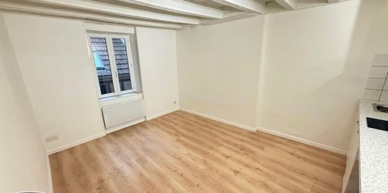 Location Appartement 1 pièce 17m² DIJON 21000 - Photo 3