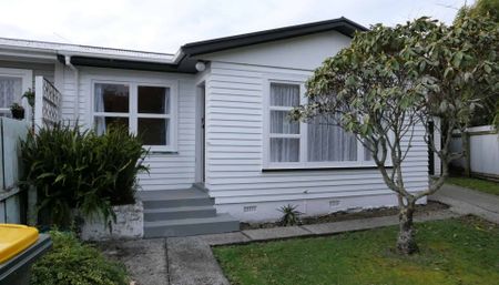 Two Bedroom Gem in Levin - Photo 2
