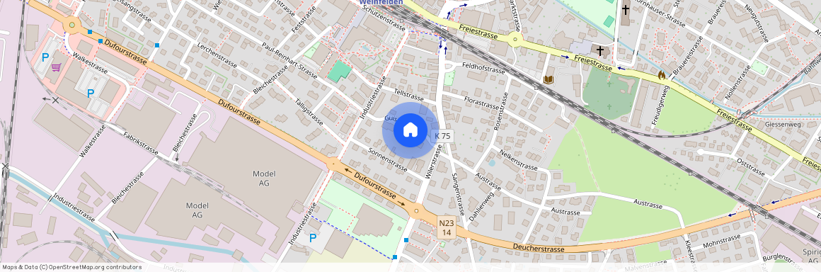 Guisanstrasse 5, 8570 Weinfelden