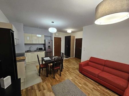 bohaterów Września, Nowe 2 pokojowe - Zdjęcie 4