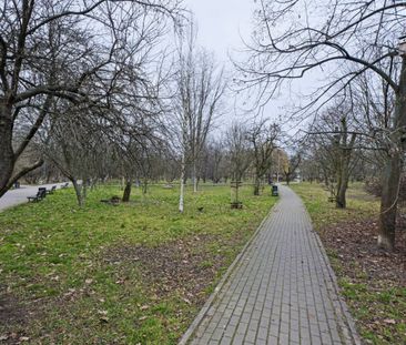 Przytulne 2-pokojowe mieszkanie przy parku – Sady 26 m² - Zdjęcie 6