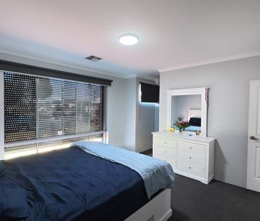 Treendale Location - 4x2 + Study - Photo 4