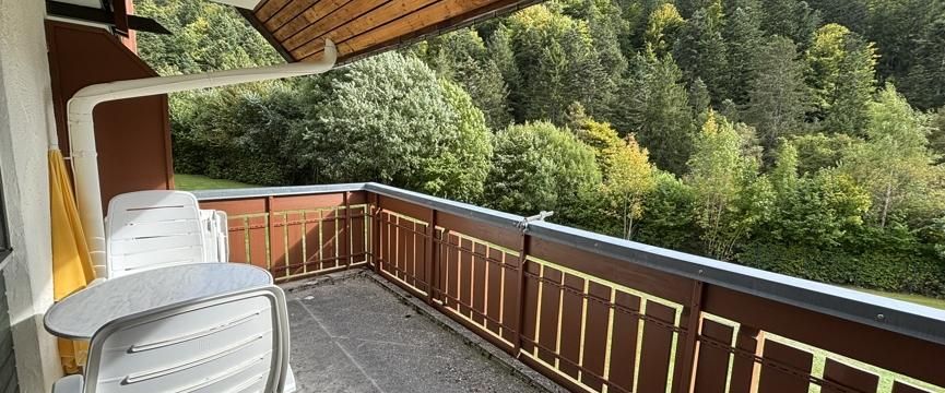 Wohnen im Luftkurort | charmantes 1 - Zimmerapartment - Foto 1