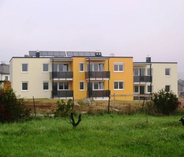 Geförderte Mietwohnung mit Kaufoption - Photo 1