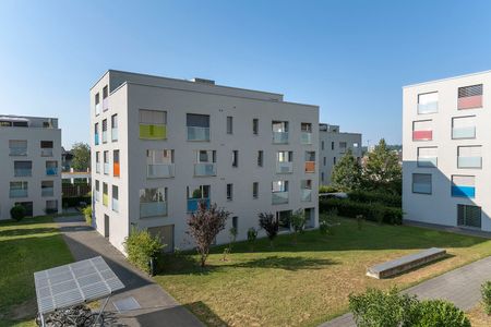 "Wohnen auf der Sonnenseite von Brugg" - Foto 5