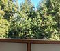 NA PRENÁJOM, 2 izbový byt s balkónom, Martin - Photo 5