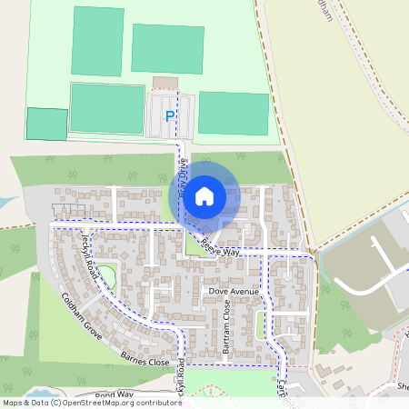 Bray Drive, NR18 0GQ