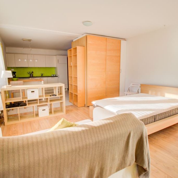 Très grand studio meublé et agencé avec place de parc privative - Photo 1