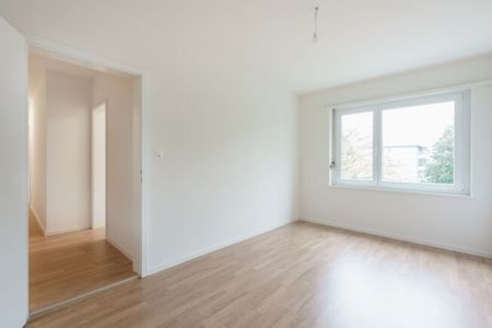 3-room apartment with private washer-dryer - Photo 4