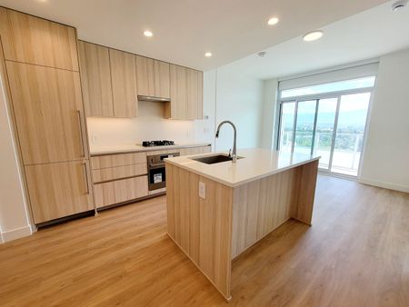 Luxury 1brm condo with breathtaking views of the lake and city - Photo 4