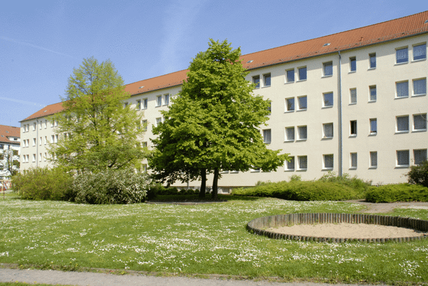 Frisch geweißte 2-Raumwohnung in Möckern - Foto 1