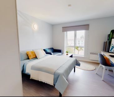 Platinum Mini Studio - Photo 5