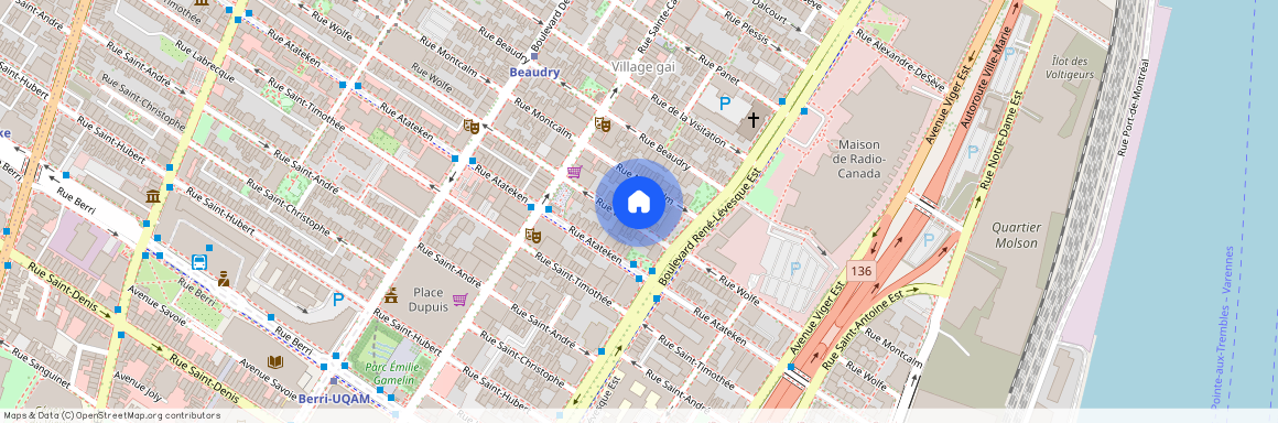 1231 Rue Wolfe, H2L 3J2, Montréal