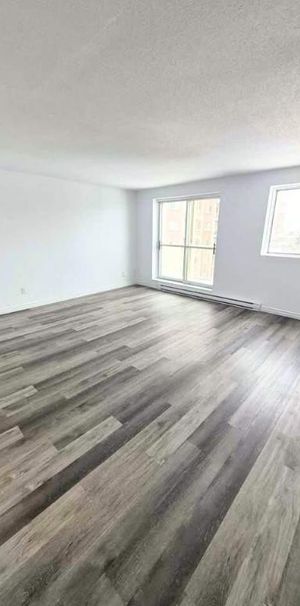 2 CH - 1 SDB - Gatineau - $1,595 /mo - Photo 1