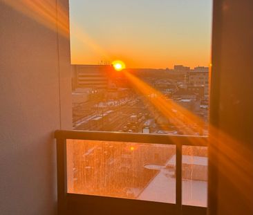 For Lease - 705 Davis Drive Unit# A811, Newmarket, Ontario - Photo 6