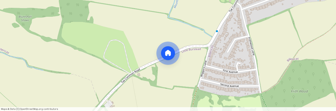 Tye Common Road, CM12