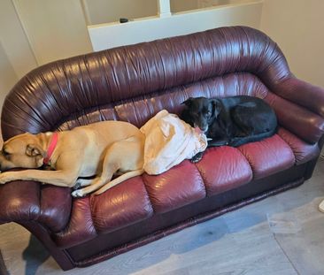 South Guildford - Photo 1