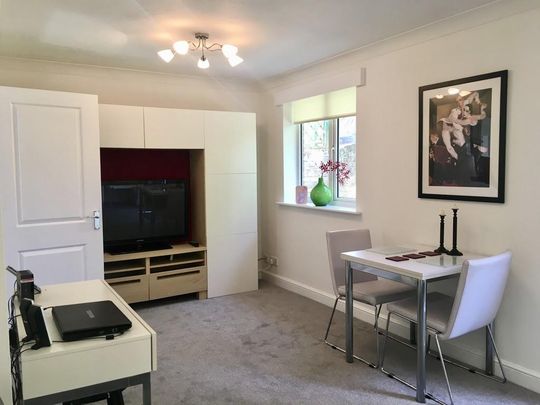 1 bedroom ground floor flat to rent - Photo 1