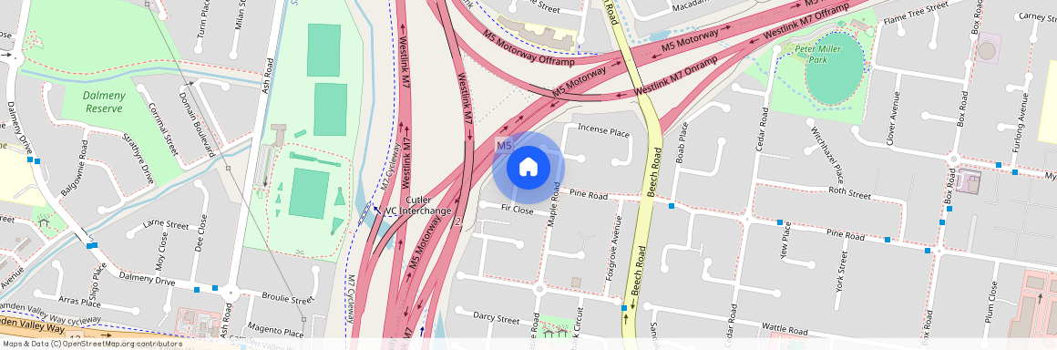 13 Ginkgo Close, NSW 2170, Casula