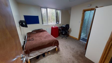 164 Bournbrook Road Selly Oak - Photo 3