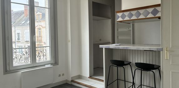 Location Appartement 2 pièces 29m² JARGEAU 45150 - Photo 2