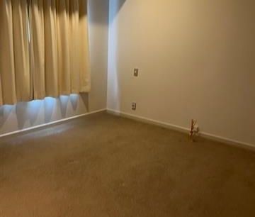 IMMACULATE 2 BEDROOMS - GLENDOWIE - Photo 3