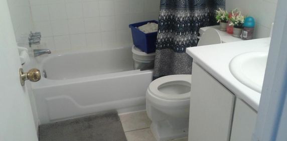 3 1/2 Alouer Anjou - Photo 2