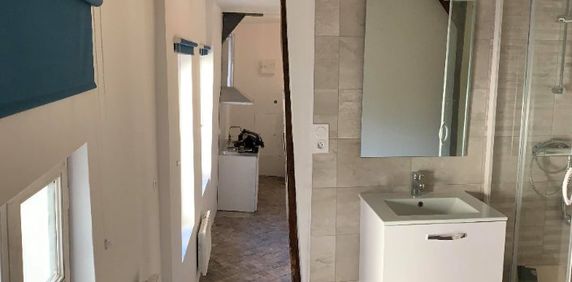 Location Appartement 1 pièce 25m² RENNES 35000 - Photo 2