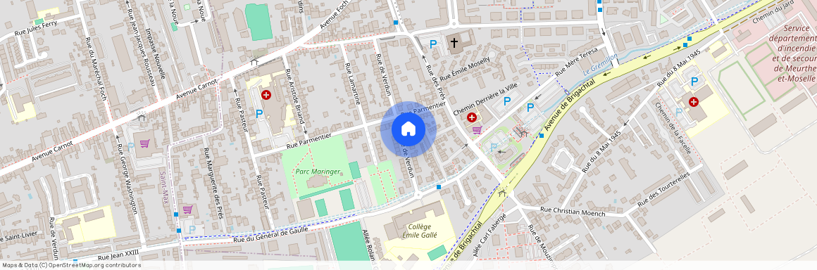 33 RUE DE VERDUN, Centre-Ville Chenevieres Parc, Essey Les Nancy