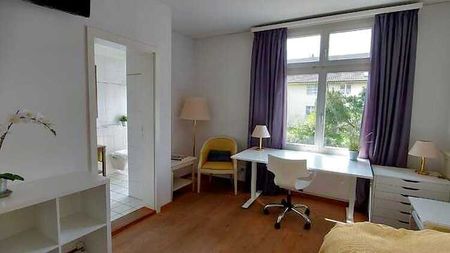 1 Zimmer-Wohnung in Ermatingen (TG), möbliert - Foto 3