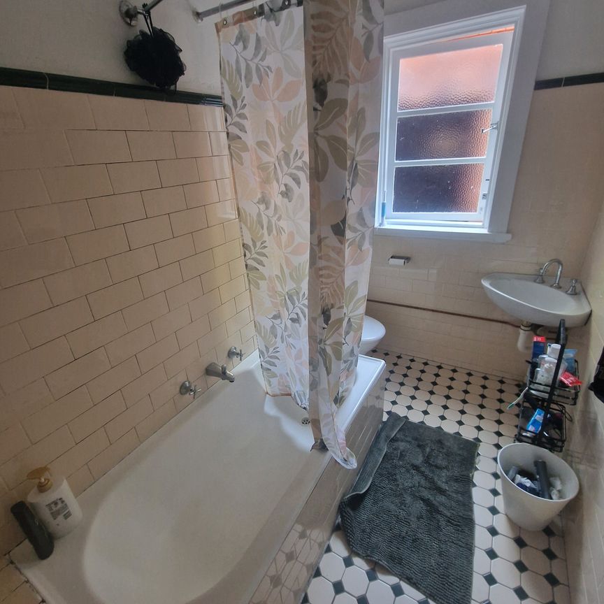 Paddington - Photo 1