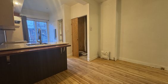 Villeray - Beau 2 1/2 Spacieux - Photo 3