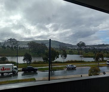 227/181 Sutherland Crescent, Taylor ACT 2913 - Apartment For Rent |... - Photo 3