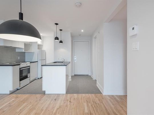 70 Rue Crépeau - Photo 1