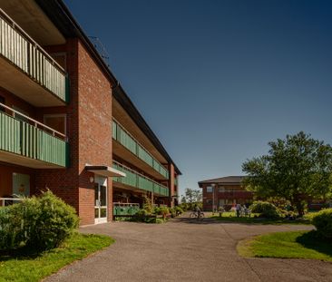 Ekgatan, Lysekil - Foto 6