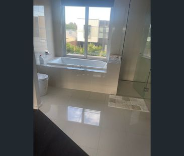 22 Linden Street BRUNSWICK EAST - Photo 6
