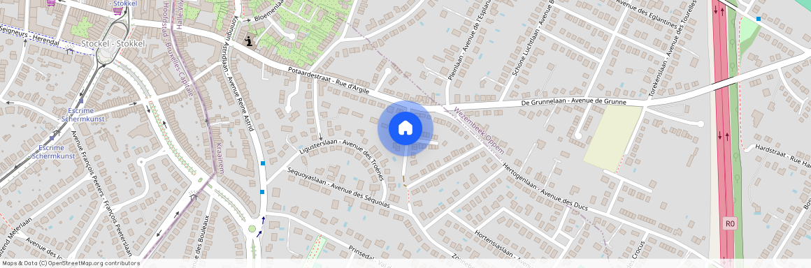 Avenue des Mimosas, 1950, Kraainem